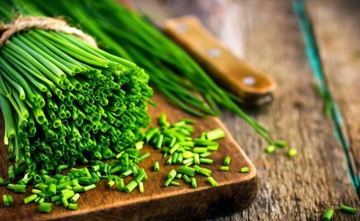 Green onion