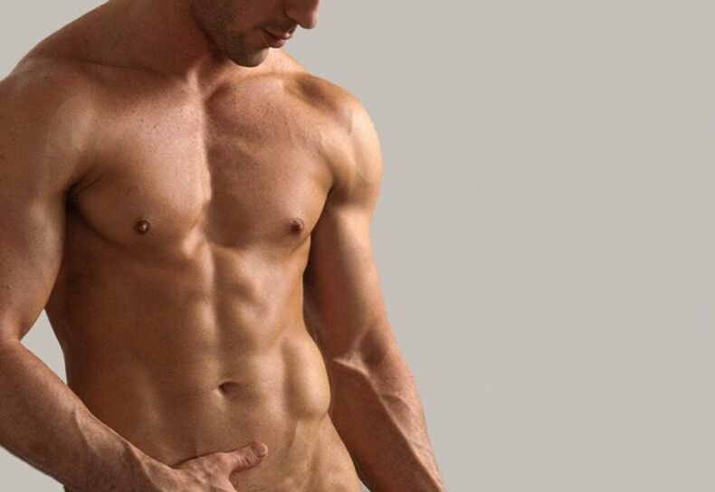 Men's torso