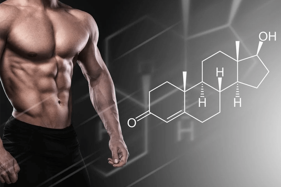 testosterone as a stimulant of potency in men